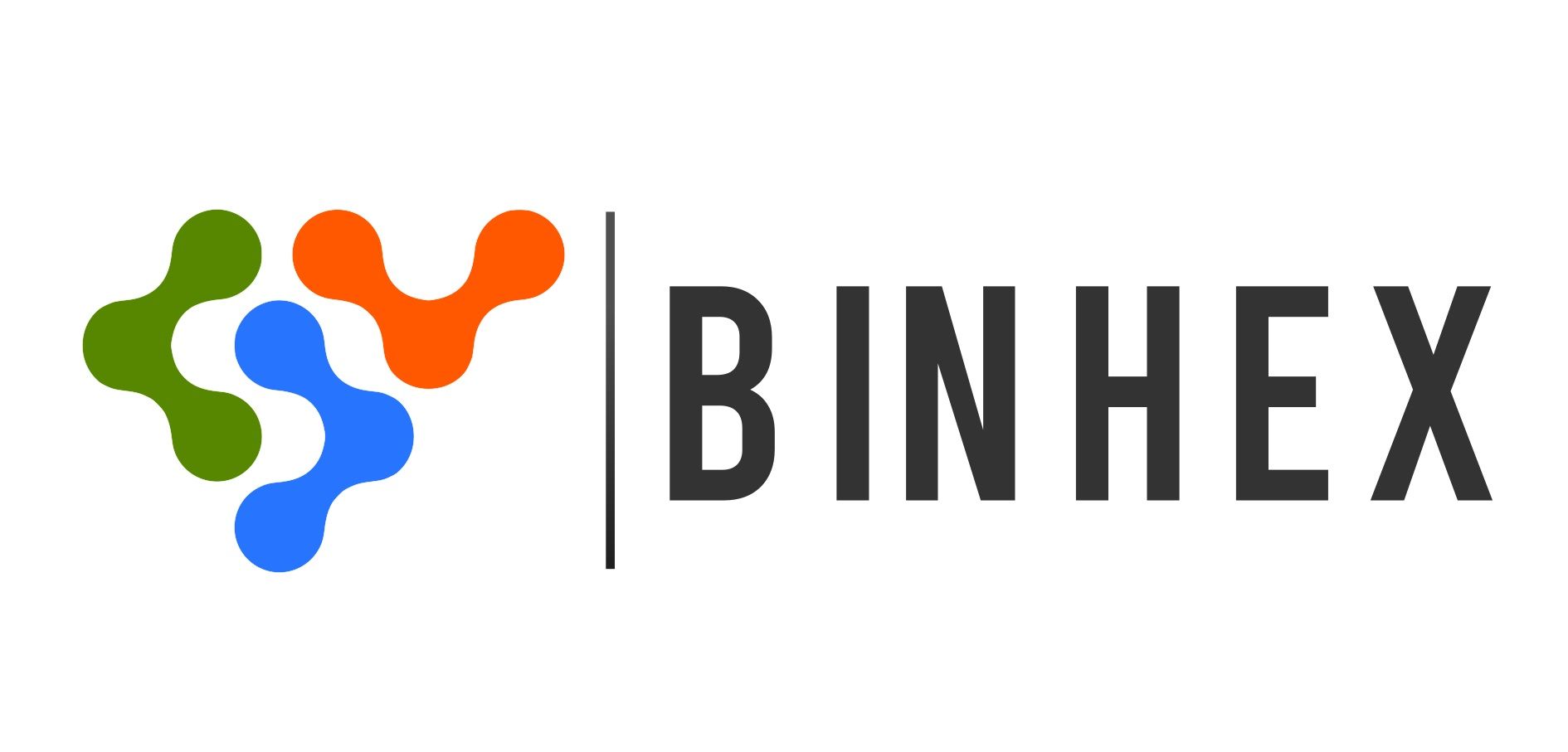 Binhex Logo