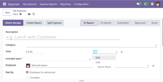 Multi currency expenses